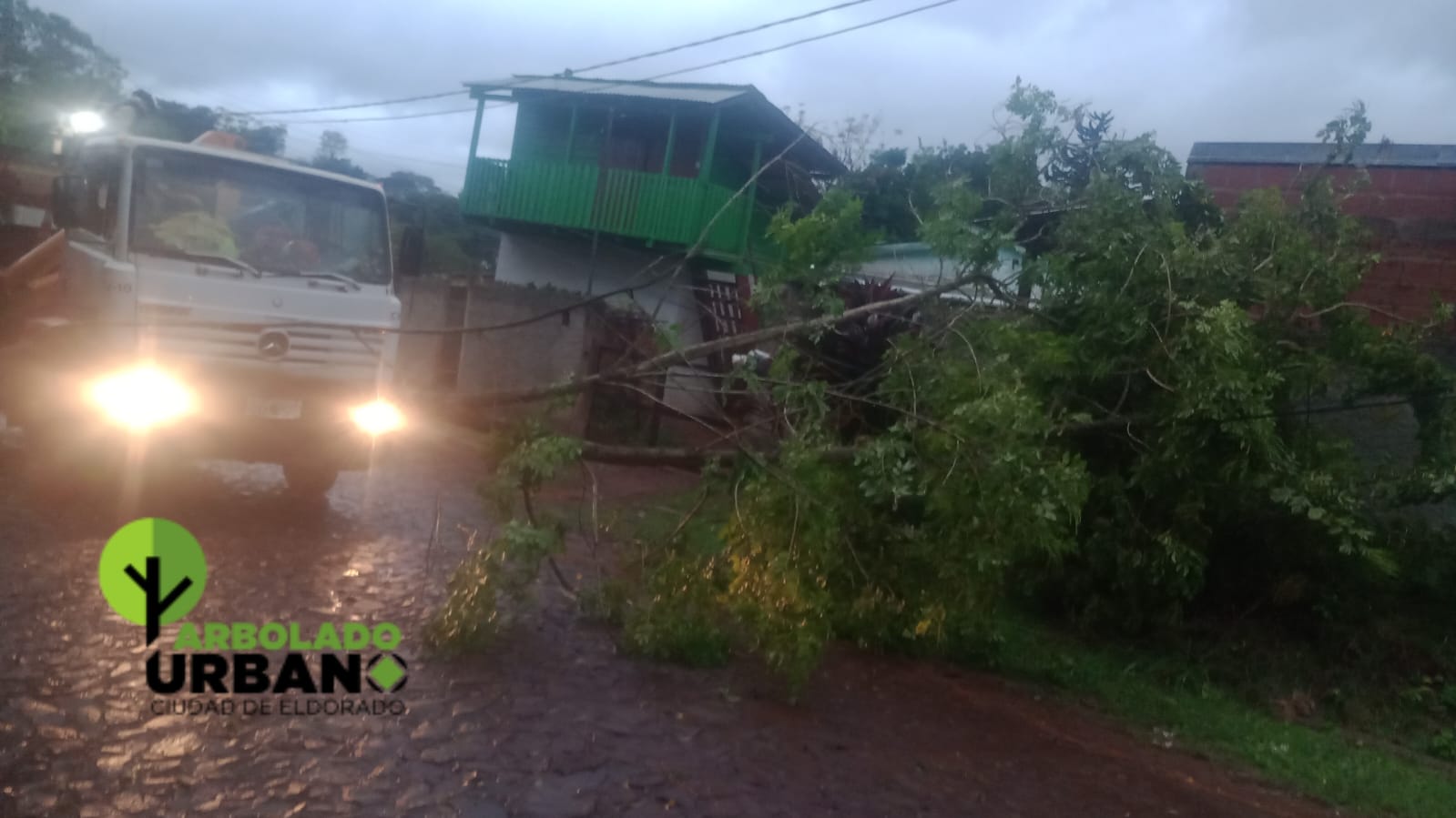 El mal tiempo causó caída de árboles en Eldorado 2